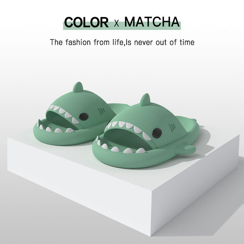 Shark Slidz